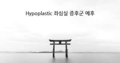 Hypoplastic 좌심실 증후군 예후