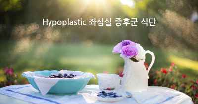 Hypoplastic 좌심실 증후군 식단