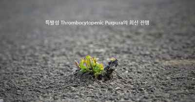 특발성 Thrombocytopenic Purpura의 최신 진행