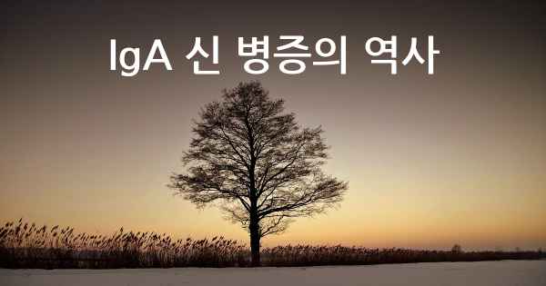 IgA 신 병증의 역사