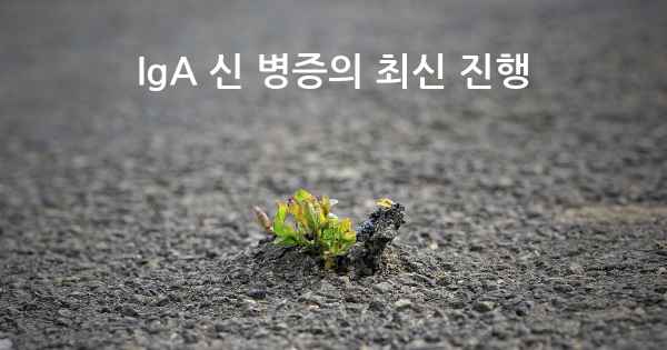 IgA 신 병증의 최신 진행