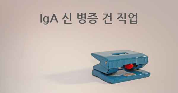 IgA 신 병증 건 직업