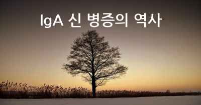 IgA 신 병증의 역사