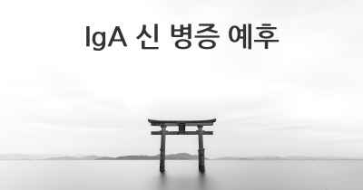 IgA 신 병증 예후