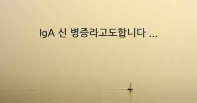 IgA 신 병증라고도합니다 ...