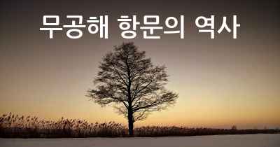 무공해 항문의 역사