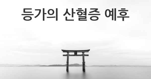 등가의 산혈증 예후