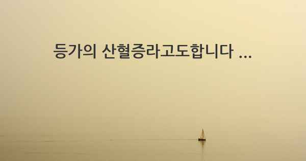 등가의 산혈증라고도합니다 ...