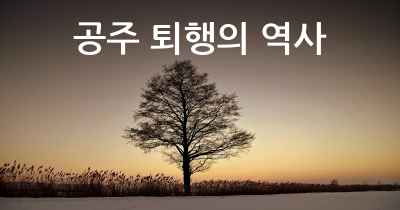 공주 퇴행의 역사