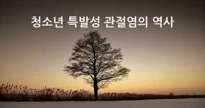 청소년 특발성 관절염의 역사