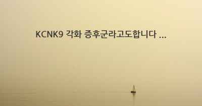 KCNK9 각화 증후군라고도합니다 ...