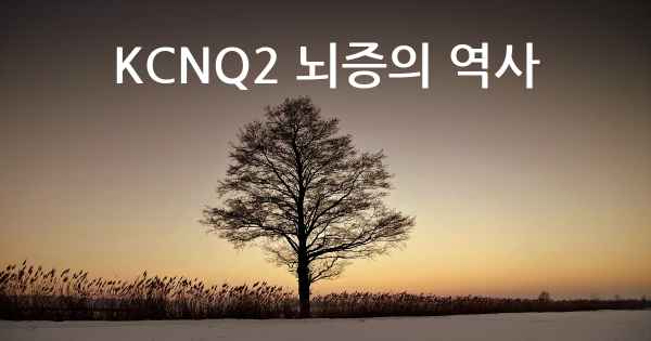 KCNQ2 뇌증의 역사