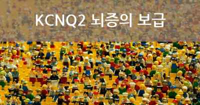 KCNQ2 뇌증의 보급