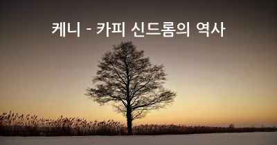 케니 - 카피 신드롬의 역사