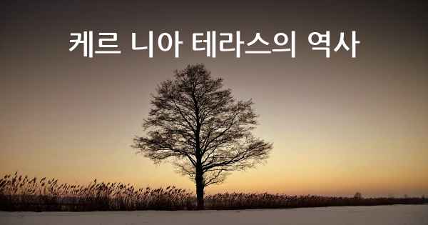 케르 니아 테라스의 역사