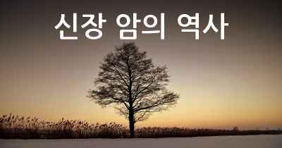 신장 암의 역사