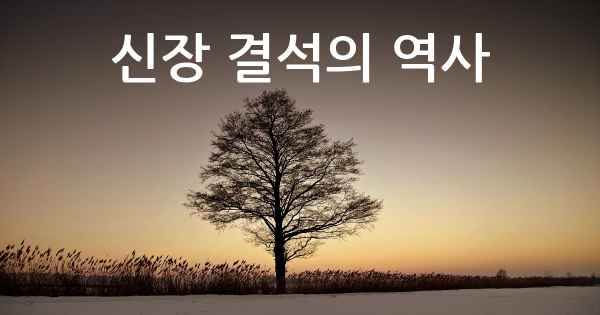 신장 결석의 역사