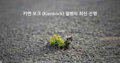 키엔 보크 (Kienbock) 질병의 최신 진행