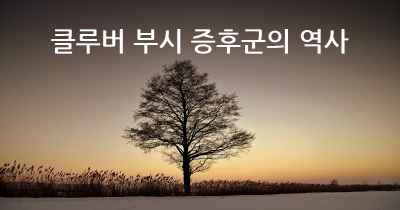 클루버 부시 증후군의 역사