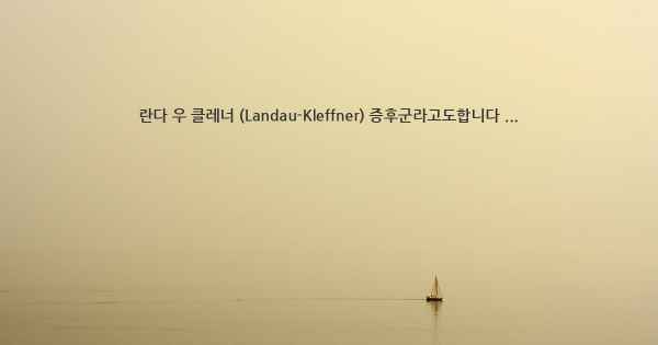 란다 우 클레너 (Landau-Kleffner) 증후군라고도합니다 ...