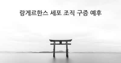 랑게르한스 세포 조직 구증 예후