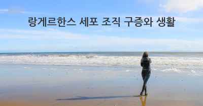 랑게르한스 세포 조직 구증와 생활