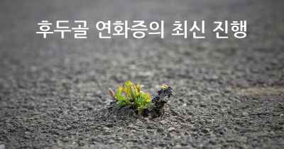 후두골 연화증의 최신 진행