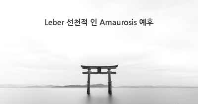 Leber 선천적 인 Amaurosis 예후