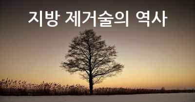 지방 제거술의 역사