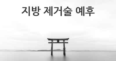 지방 제거술 예후