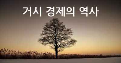 거시 경제의 역사