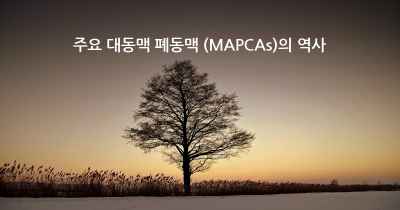 주요 대동맥 폐동맥 (MAPCAs)의 역사