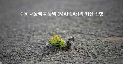 주요 대동맥 폐동맥 (MAPCAs)의 최신 진행