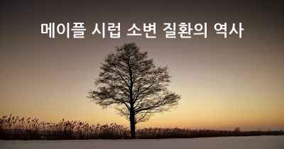 메이플 시럽 소변 질환의 역사