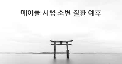 메이플 시럽 소변 질환 예후