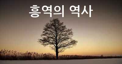 흥역의 역사