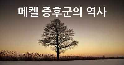 메켈 증후군의 역사