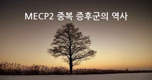 MECP2 중복 증후군의 역사