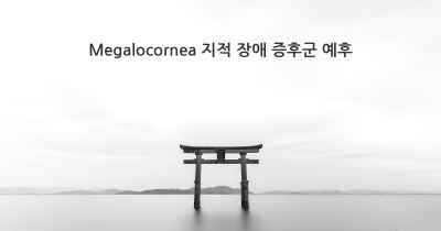 Megalocornea 지적 장애 증후군 예후