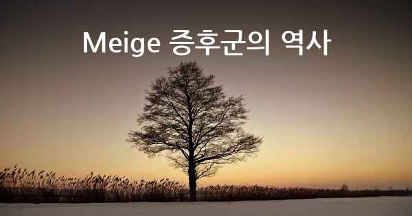 Meige 증후군의 역사