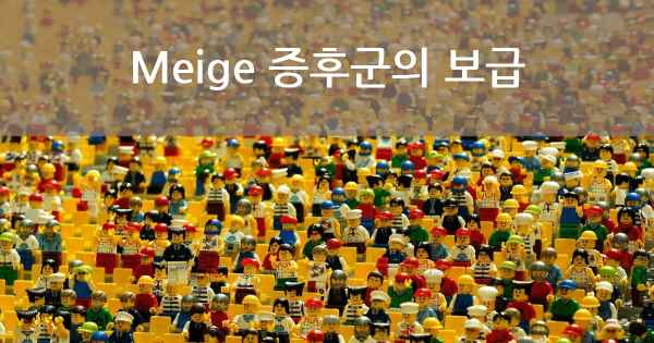 Meige 증후군의 보급