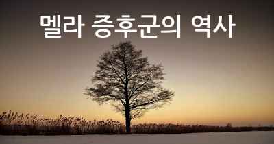 멜라 증후군의 역사