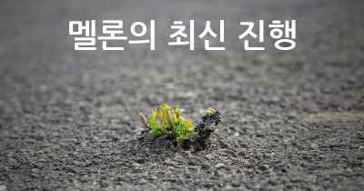 멜론의 최신 진행