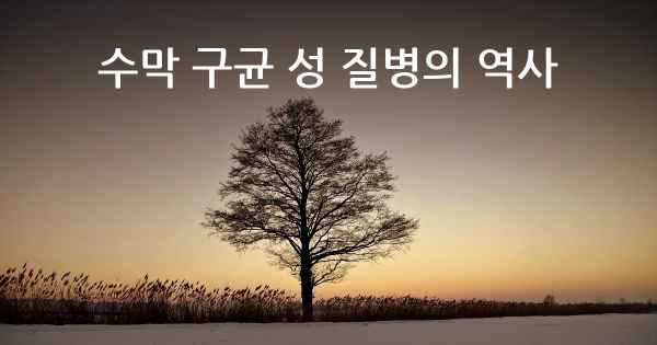 수막 구균 성 질병의 역사