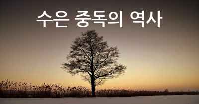 수은 중독의 역사