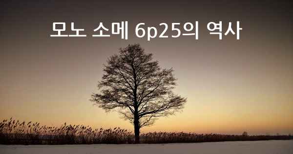 모노 소메 6p25의 역사