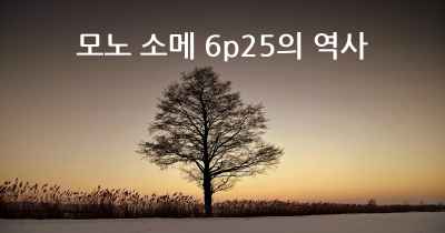 모노 소메 6p25의 역사