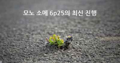 모노 소메 6p25의 최신 진행