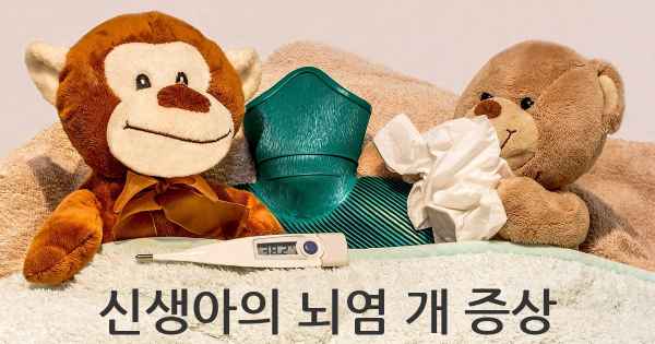 신생아의 뇌염 개 증상