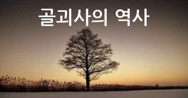 골괴사의 역사